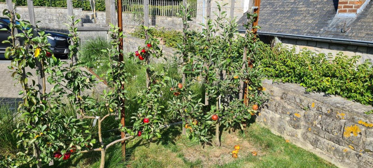 Gite La Petite Beurrerie des Ardennes Celles  Extérieur photo