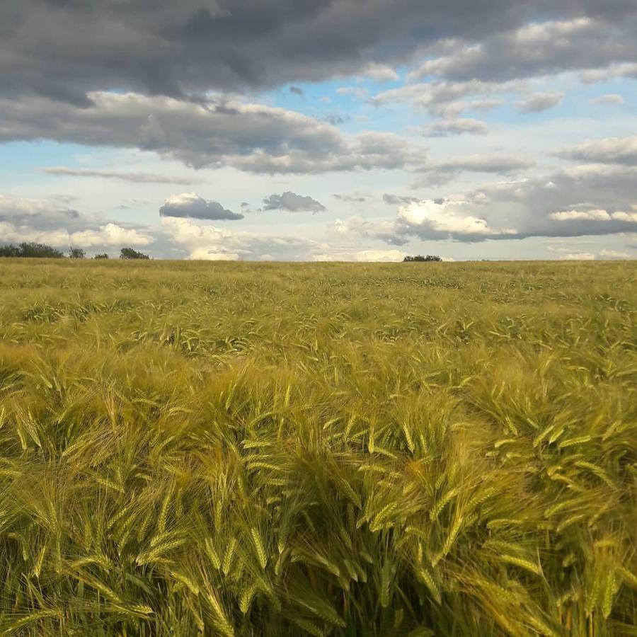 Gite La Petite Beurrerie des Ardennes Celles  Extérieur photo