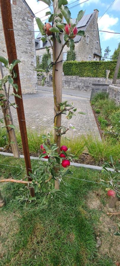Gite La Petite Beurrerie des Ardennes Celles  Extérieur photo