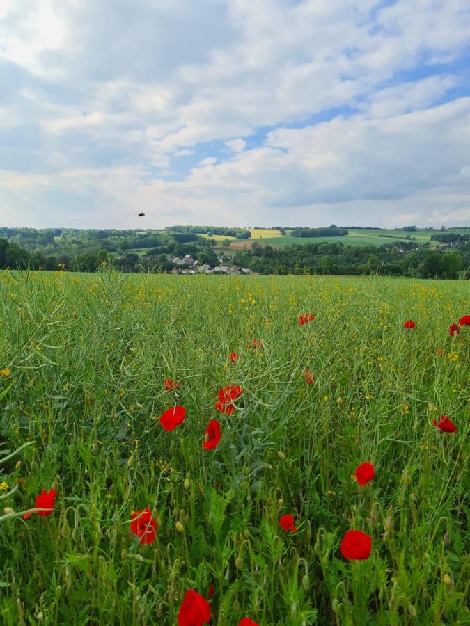 Gite La Petite Beurrerie des Ardennes Celles  Extérieur photo