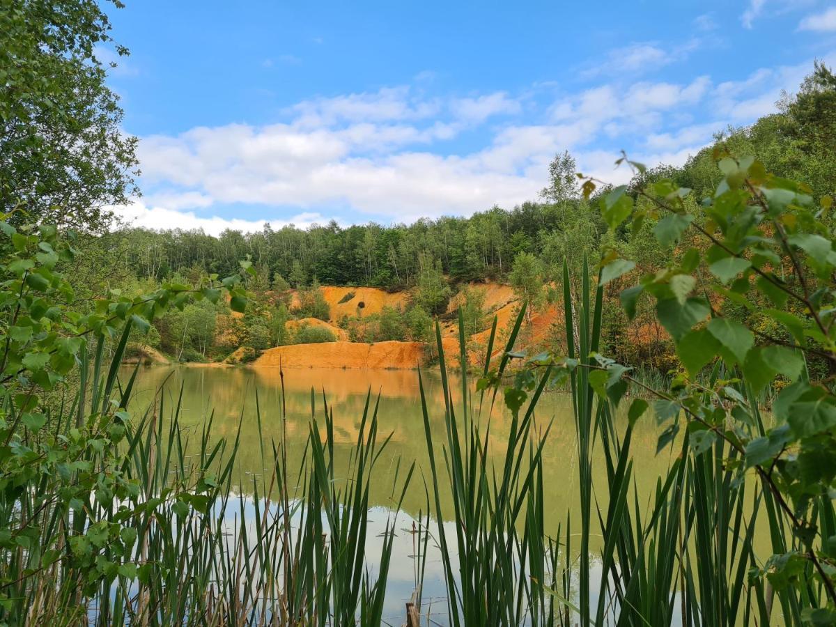 Gite La Petite Beurrerie des Ardennes Celles  Extérieur photo