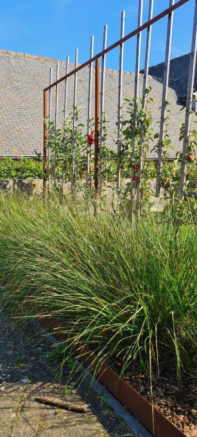 Gite La Petite Beurrerie des Ardennes Celles  Extérieur photo